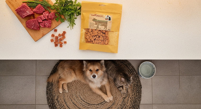Rindfleischwürfel soft für Hunde&Katzen getreidefrei 200g,