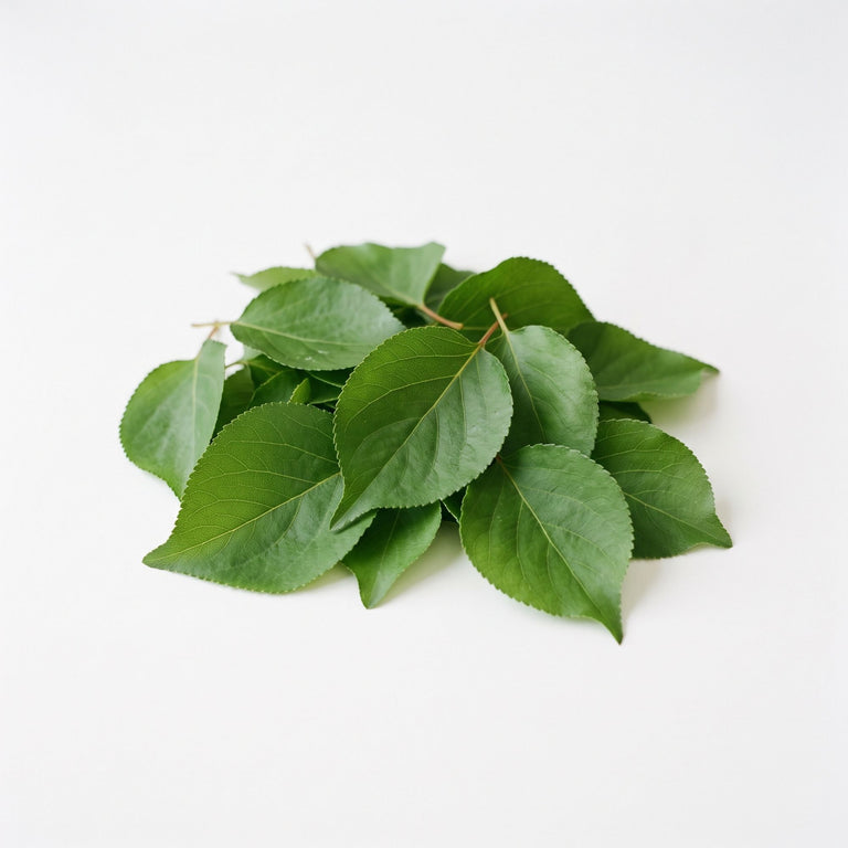 Aprikosenblätter getrocknet – Naturkraut für Kaninchen, Meerschweinchen & Pferde | Kallisbest
