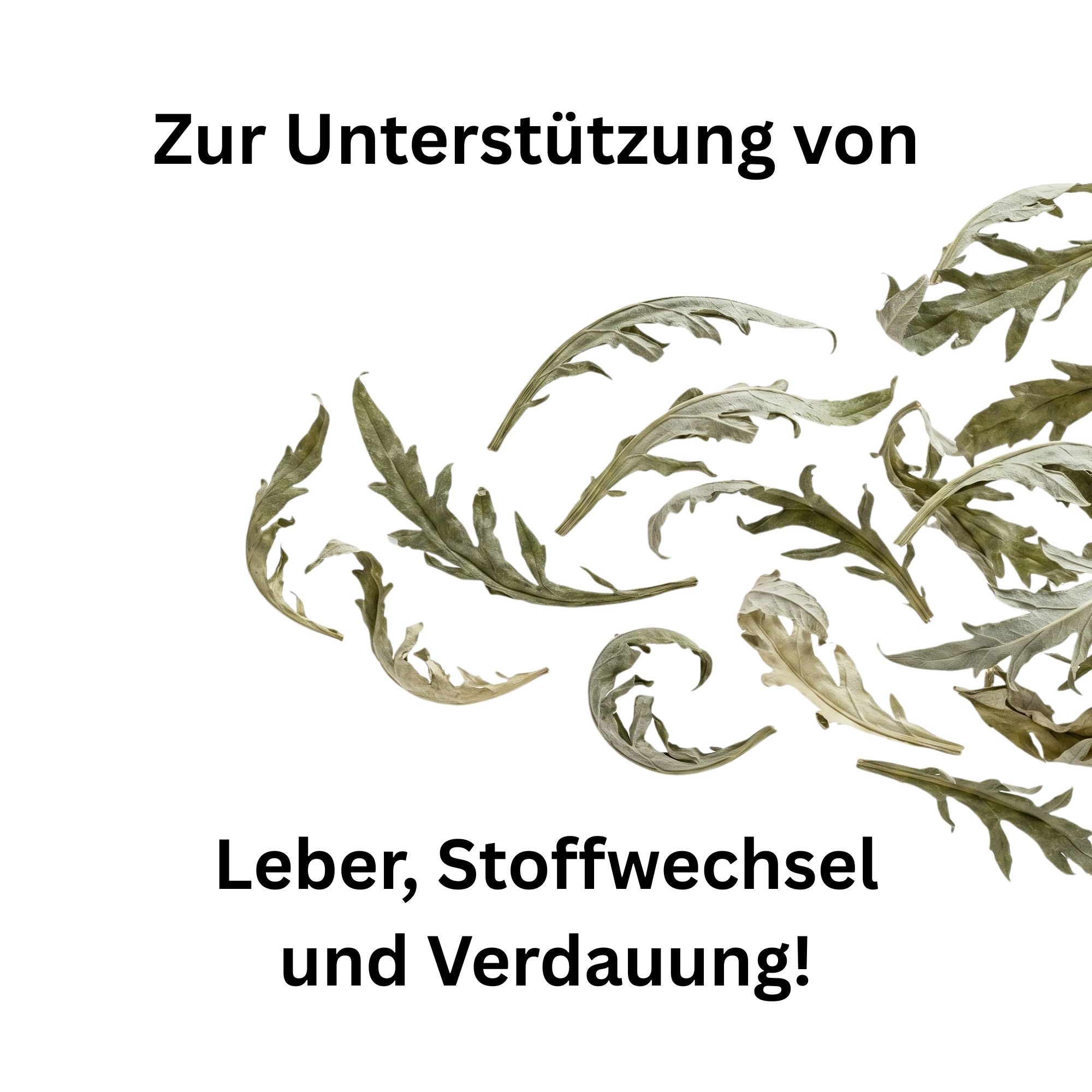 Artischockenblätter ganz getrocknet – Leberkraut für Pferde, Kaninchen & Meerschweinchen | Kallisbest