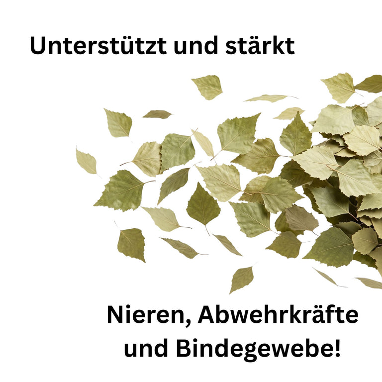 Birkenblätter getrocknet – Entgiftungskraut für Pferde, Kaninchen & Schildkröten | Kallisbest