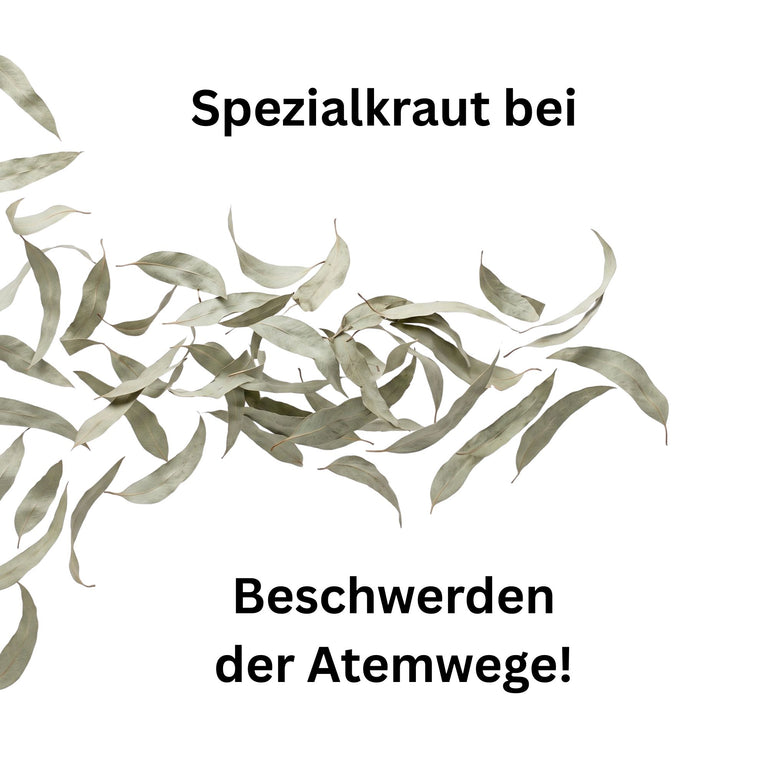 Eukalyptusblätter ganz getrocknet – Atemwegskraut für Pferde & Kaninchen | Kallisbest