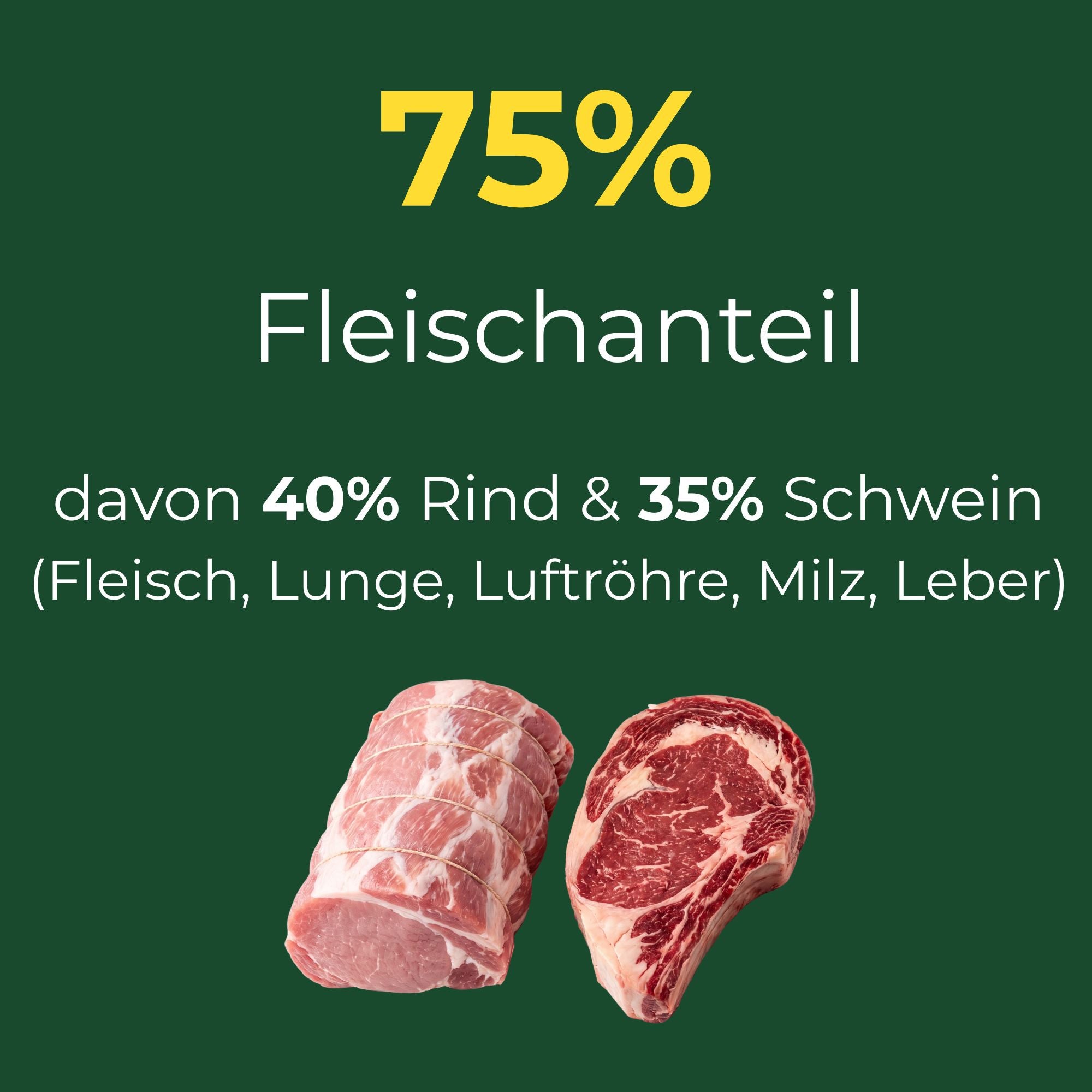 Feiner Fleischtopf Schwein und Rind, glutenfrei