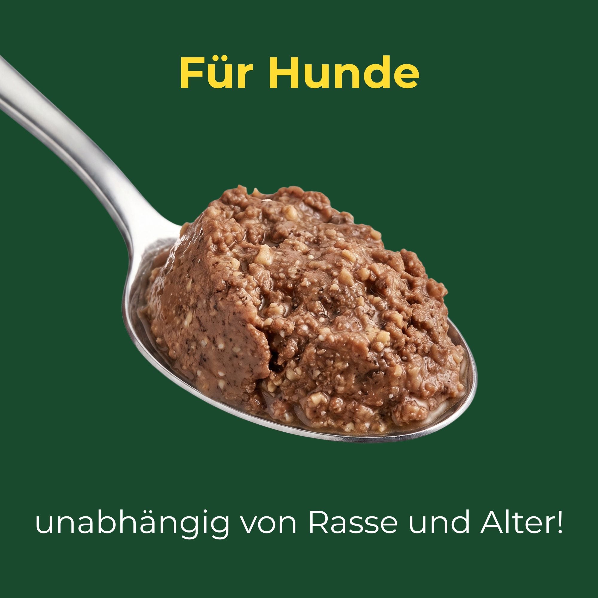 Feiner Fleischtopf Schwein und Rind, glutenfrei