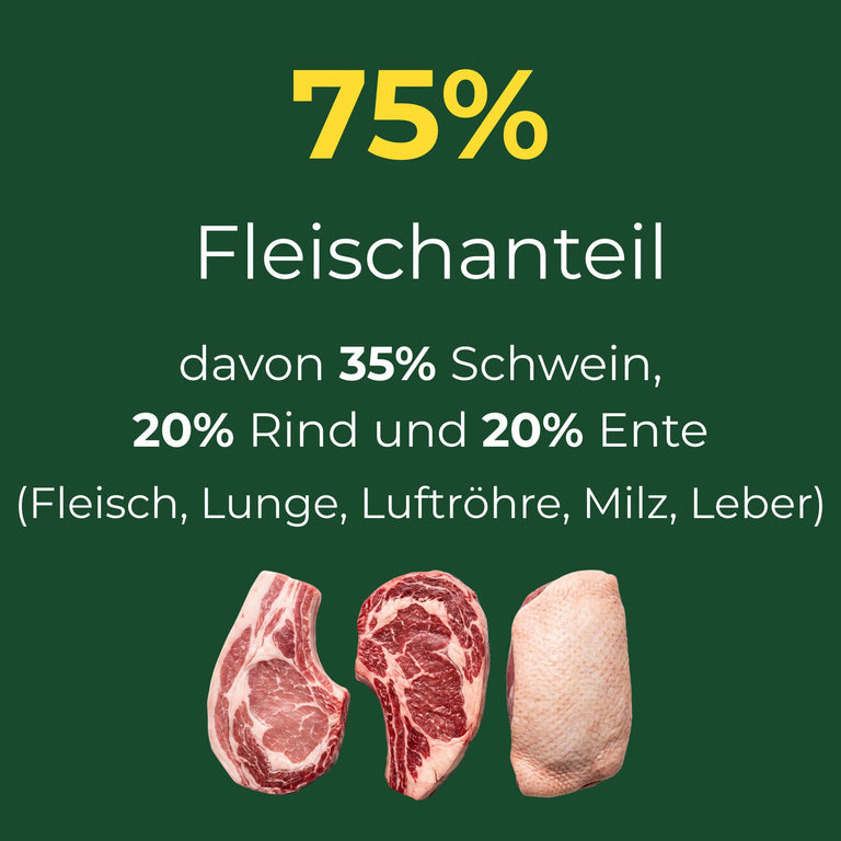 Feiner Fleischtopf - Schwein mit Rind und Ente, glutenfrei