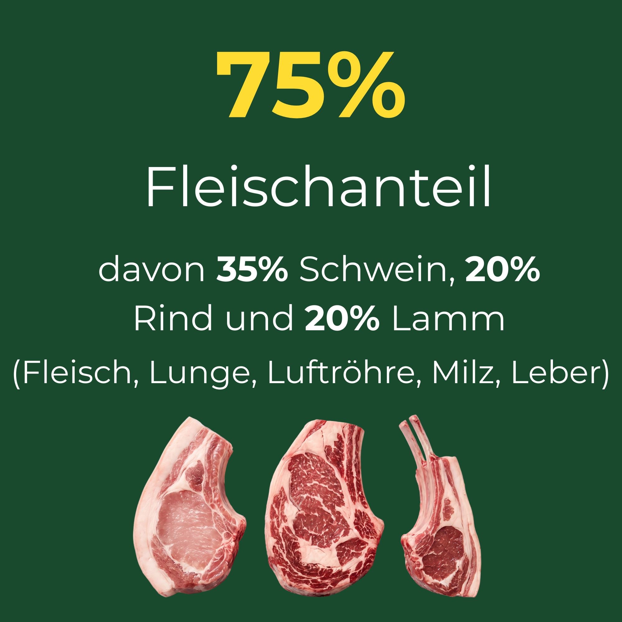 Feiner Fleischtopf - Schwein mit Rind und Lamm, glutenfrei