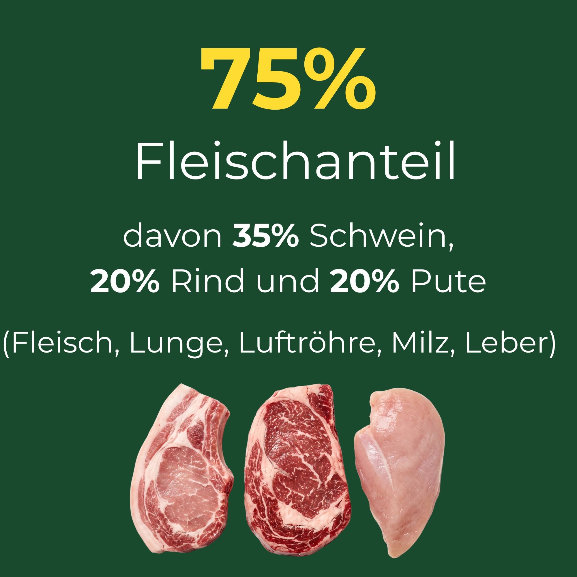 Feiner Fleischtopf - Schwein mit Rind und Truthahn, glutenfrei