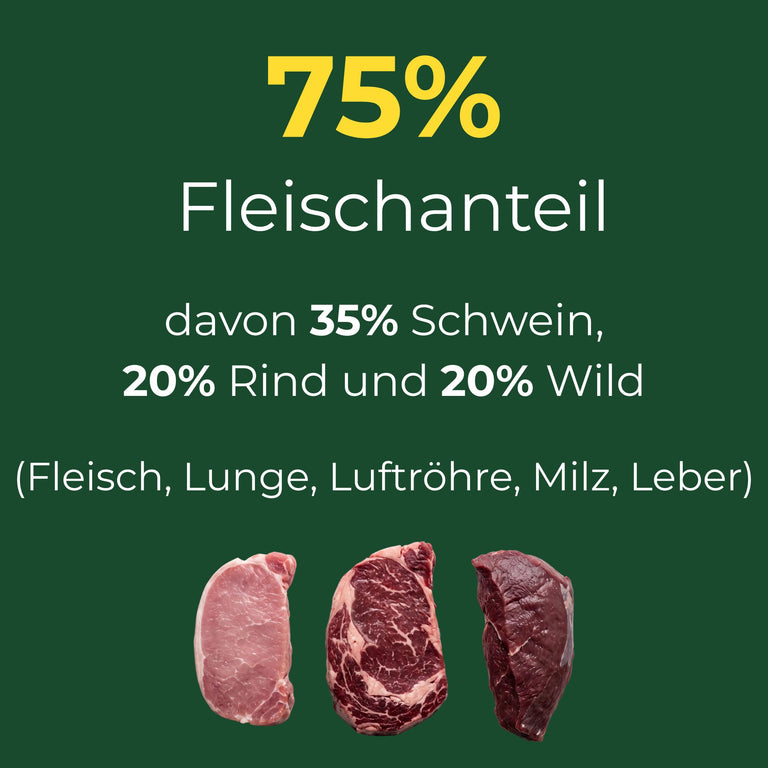 Feiner Fleischtopf - Schwein mit Rind und Wild, glutenfrei