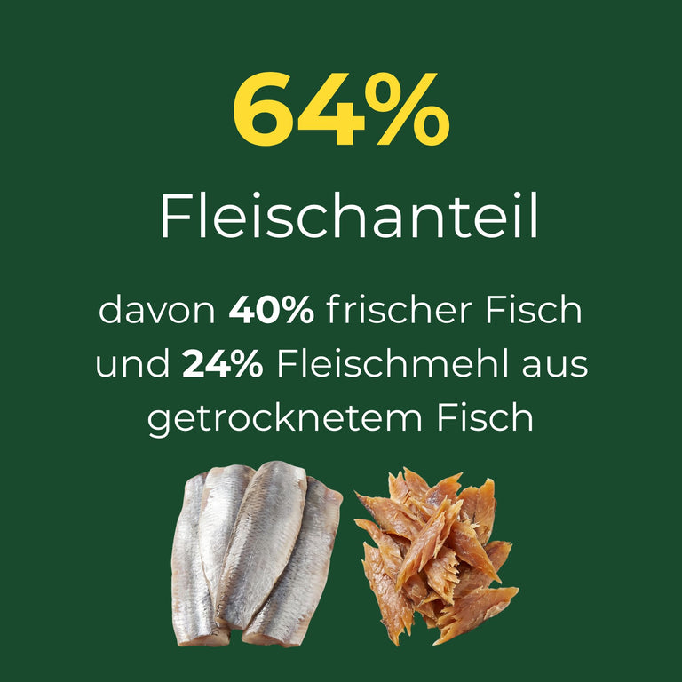 Fisch mit Kartoffel medium Kroketten für Hunde ab dem 5. Monat