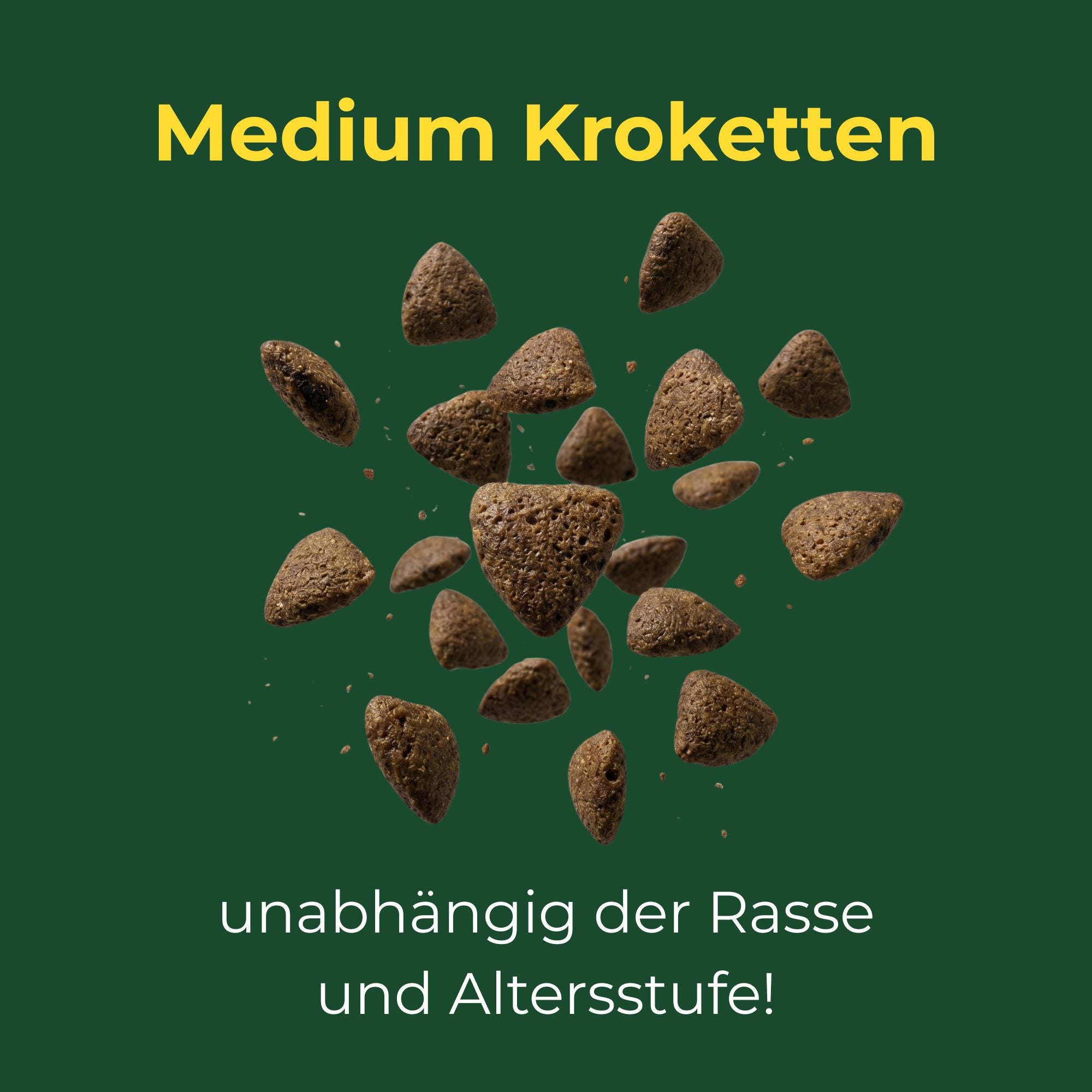 Fisch mit Kartoffel medium Kroketten für Hunde ab dem 5. Monat