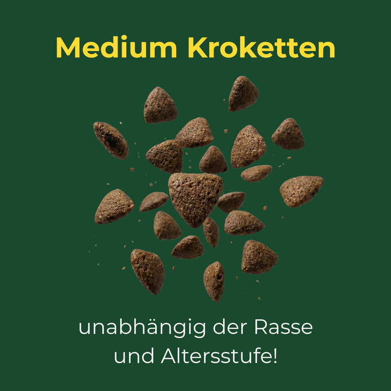 Fisch mit Kartoffel medium Kroketten für Hunde ab dem 5. Monat