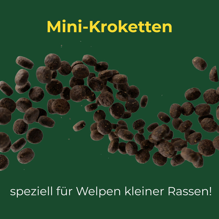 Geflügel mit Reis mini Kroketten für Welpen Mini/ kleiner Rassen