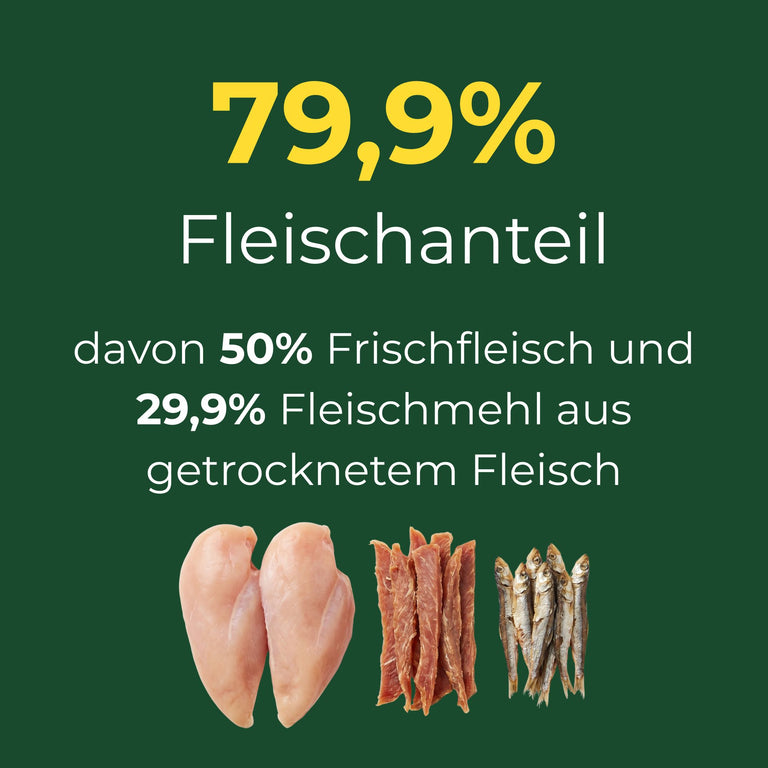 Geflügel mit Fisch und Reis Adult große Kroketten für aktive Hunde
