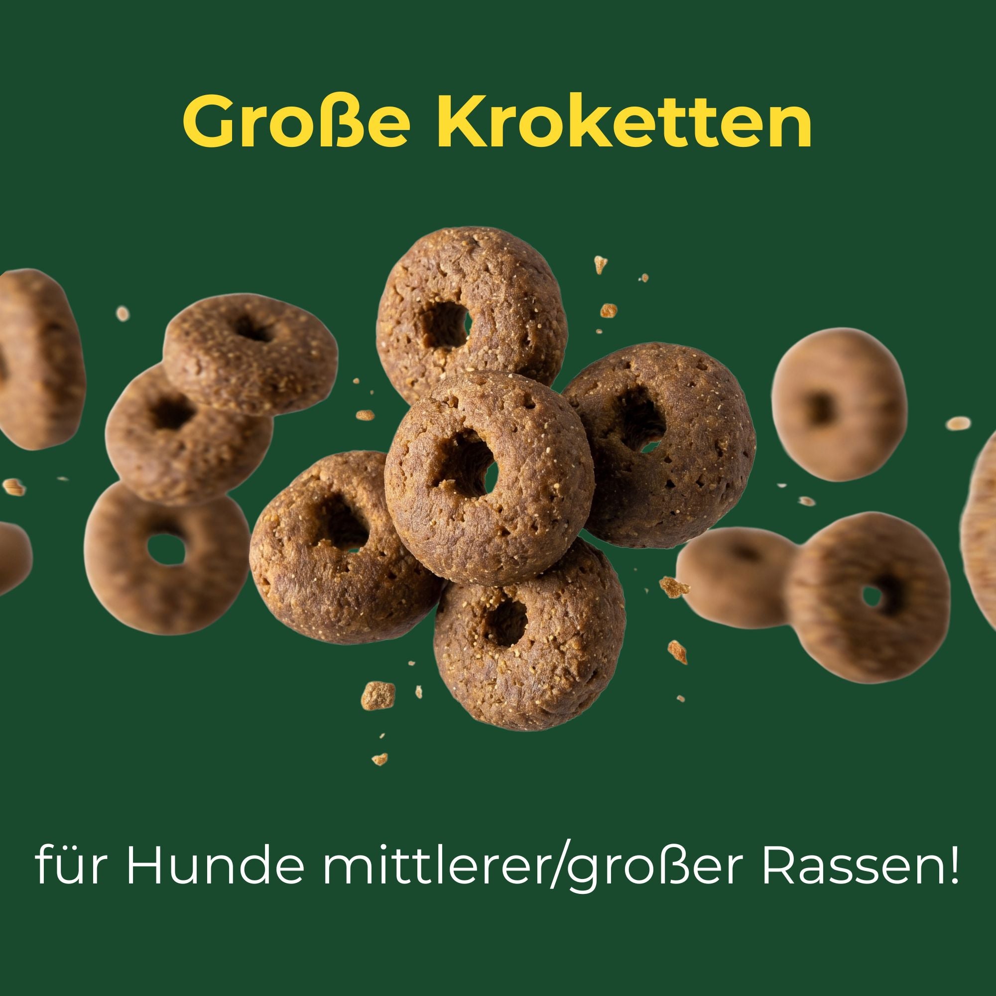 Geflügel mit Fisch und Reis Adult große Kroketten für aktive Hunde
