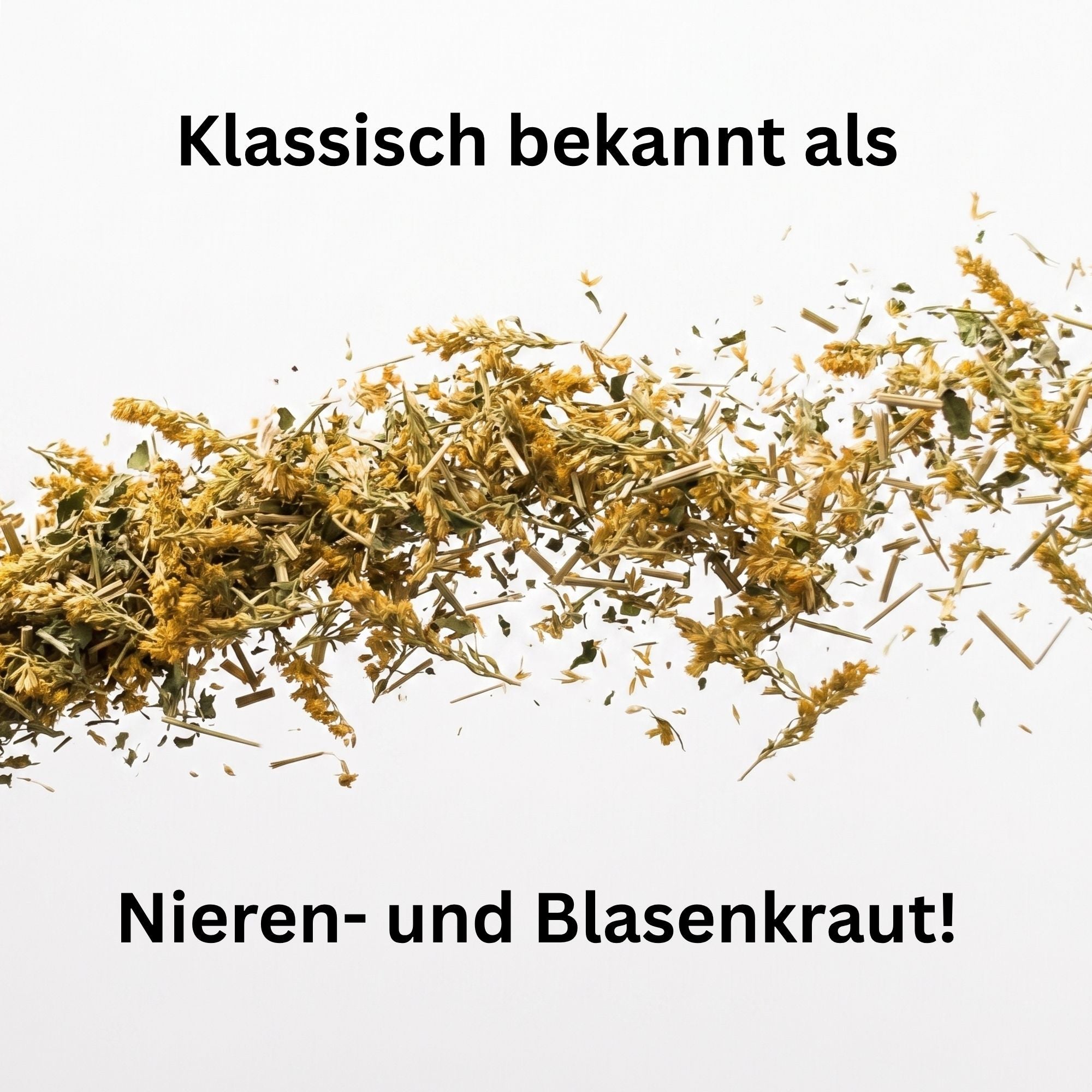 Goldrute geschnitten getrocknet – Nierenkraut für Kaninchen, Meerschweinchen & Pferde