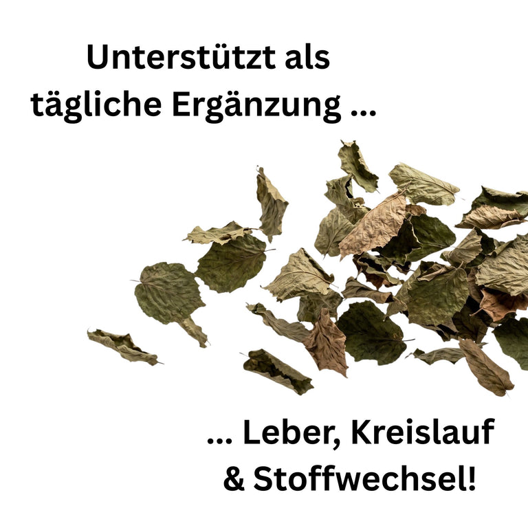 Haselnussblätter getrocknet – Mildes Naturkraut für Kaninchen, Meerschweinchen & Pferde | Kallisbest