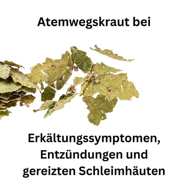 Huflattichblätter getrocknet & geschnitten – Atemwegskraut für Pferde & Kaninchen