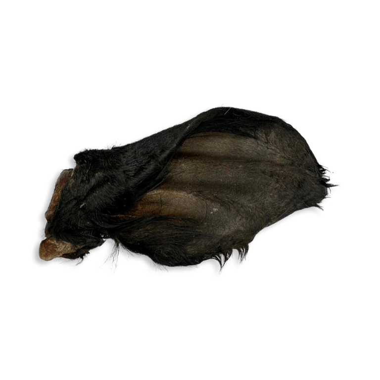 Kallisbest Rinderohren S-L-XL für Hunde, mit und ohne Fleischmuschel, in natürlicher Form und Textur.