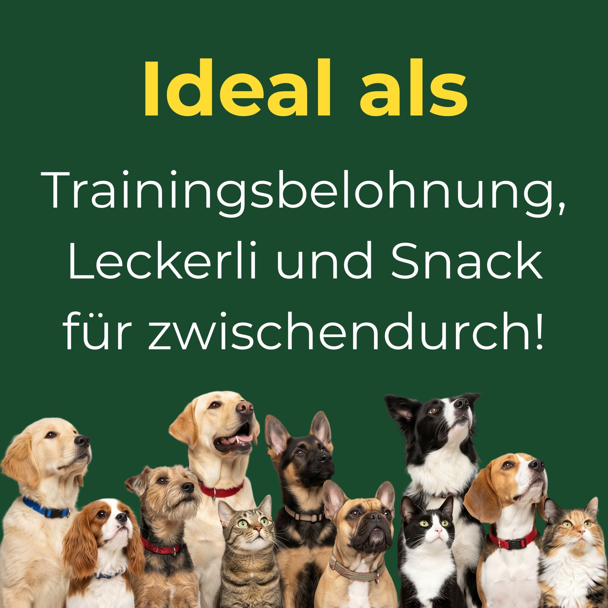 🇪🇺 Entenfleischwürfel 200g – Monoprotein Snack für Hunde & Katzen | Kallisbest