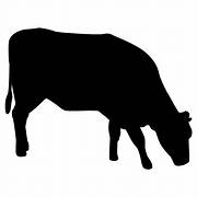Kalb mit Reis GROSSE Kroketten MONOPROTEIN - Kallisbest
