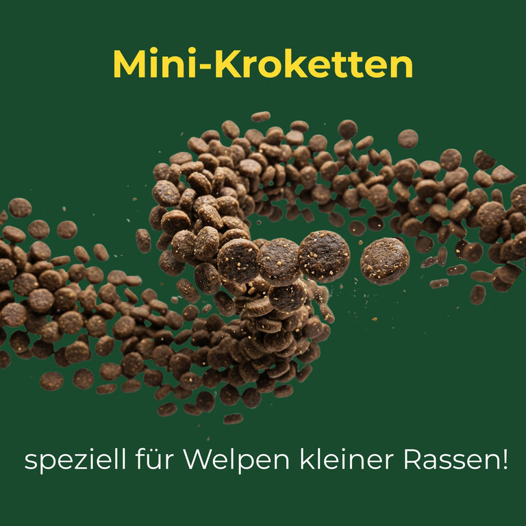 Lamm mit Rind mini Kroketten für Welpen Mini/ kleiner Rassen