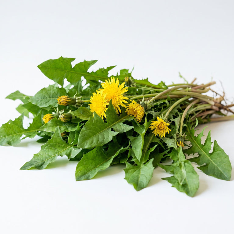 Löwenzahnblätter getrocknet – Naturkraut für Kaninchen, Schildkröten & Pferde | Kallisbest