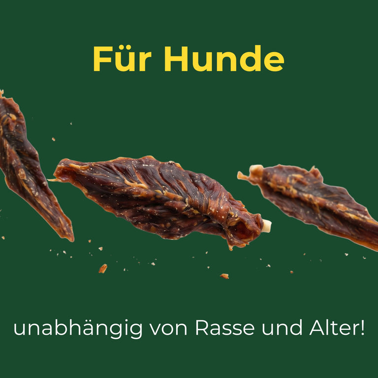 Lolly im Hühnchenfleischmantel BIG