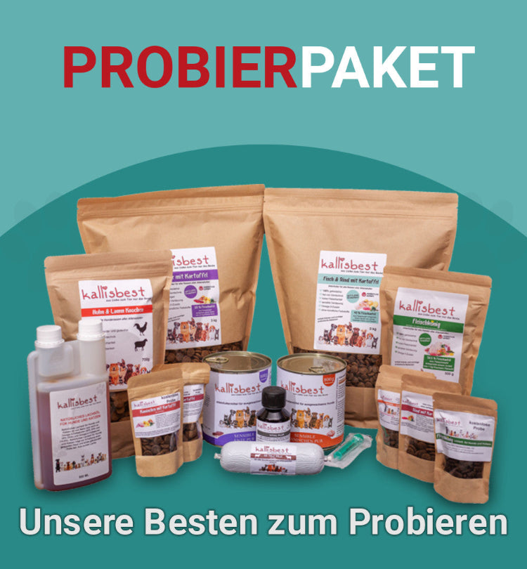 Kallisbest 