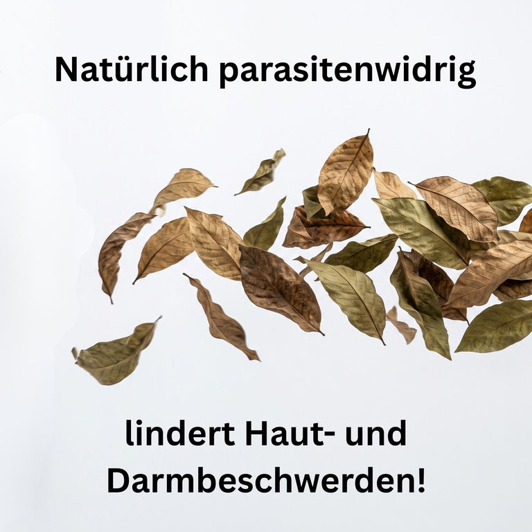 Walnussblätter getrocknet – Naturkraut für Pferde, Kaninchen & Meerschweinchen | Kallisbest