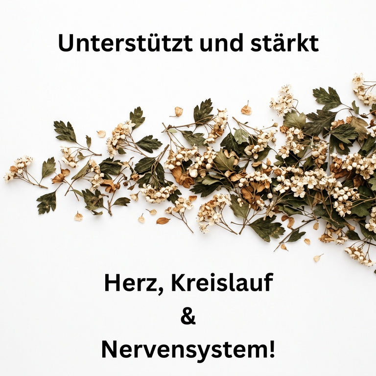 Weissdorn Blätter & Blüten – Crataegus oxyacantha