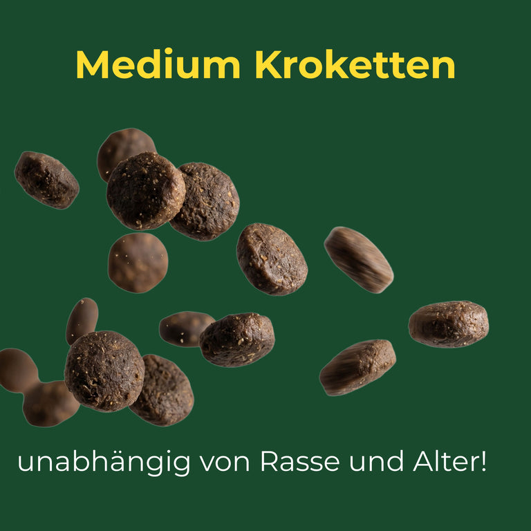 Wild mit Fisch Menü Adult medium Kroketten