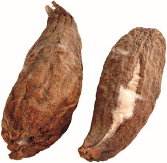 Baumwollschoten Nistmaterial für Vögel und Hamster
