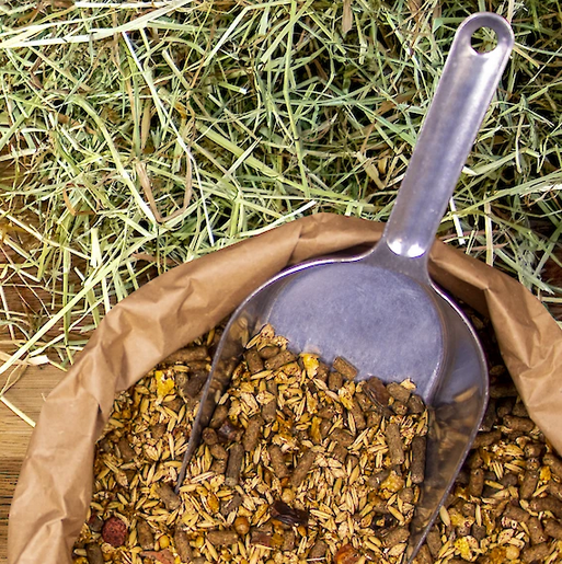 Deukavallo Zuchtmüsli – Müsli Nahaufnahme