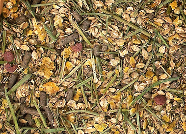 Deukavallo KräuterStruktur 20 kg – Müsli Nahaufnahme