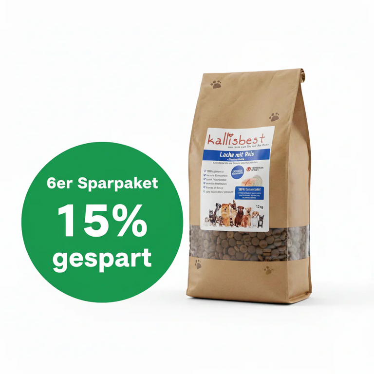 Lachs mit Reis große Kroketten – 6 x 12kg Sparpaket