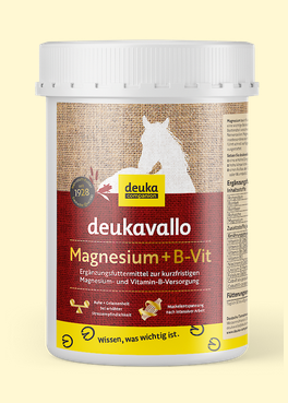 Deukavallo Magnesium+B-Vit 750g Originaldose