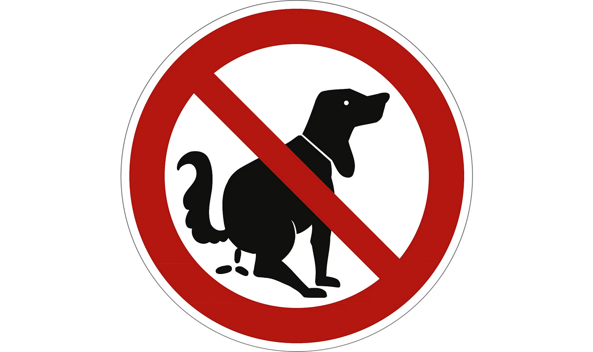 Metallschild – Hier kein Hundeklo