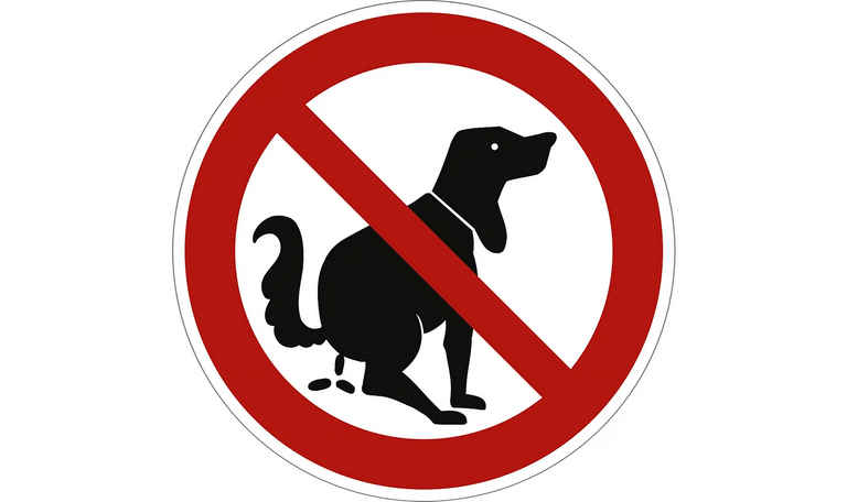 Metallschild – Hier kein Hundeklo