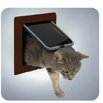 Trixie 4-Wege Freilauftür braun – Katze benutzt Katzenklappe