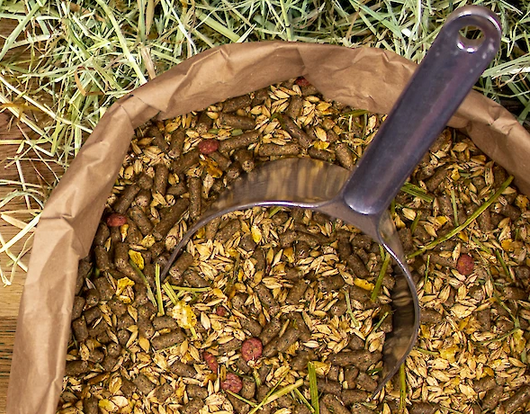 Deukavallo Pferdemüsli XXL – Müsli Nahaufnahme