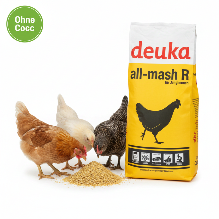 Deuka All-mash R Mehl o.C. – Junghennen ohne Cocc.