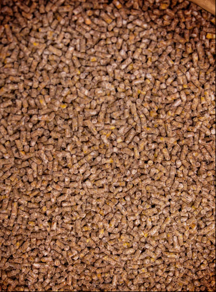 deuka NG Geflügelmast Pellets Nahaufnahme