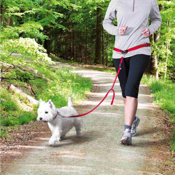 Trixie Jogging-Hüftgurt mit Leine – Produktfoto