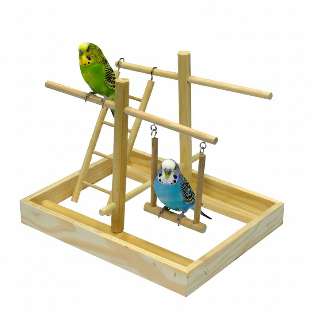 Vogelspielplatz mit Wellensittichen