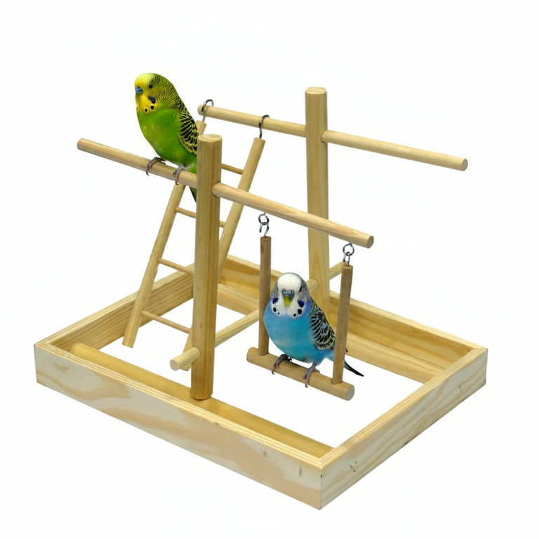 Vogelspielplatz mit Wellensittichen