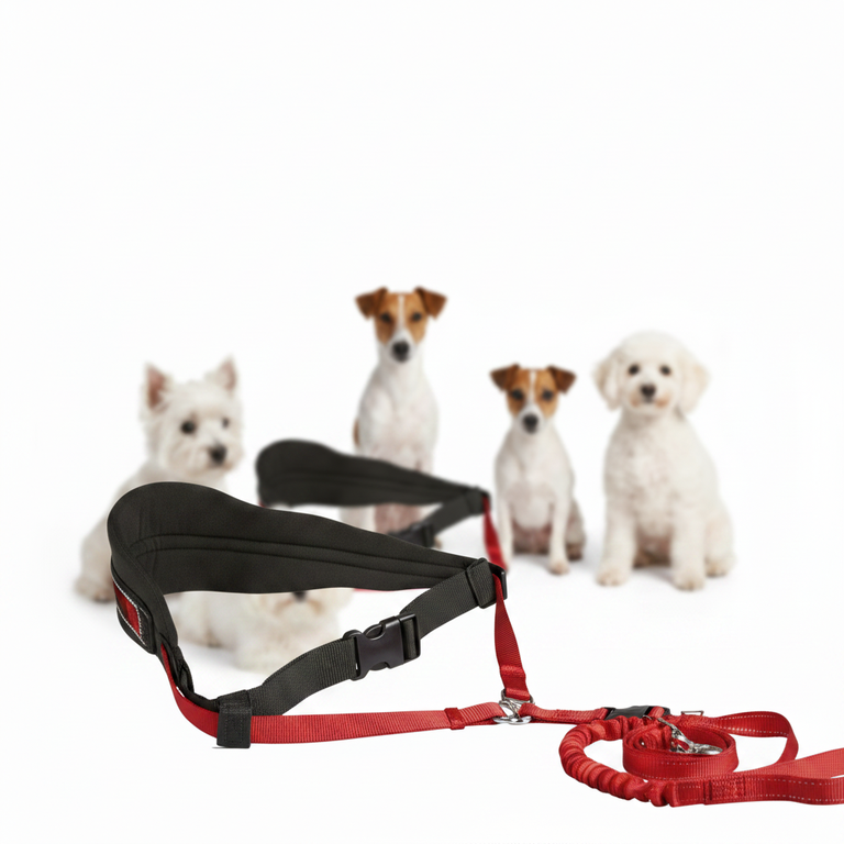 Trixie Jogging-Hüftgurt mit Leine – Westie, Foxterrier, Jack Russell, Malteser, Pudel
