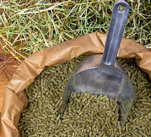 Deukavallo Top Gastro – Pellets Nahaufnahme