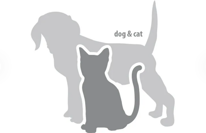 Flamingo Petcare Entwirrungsspray 175 ml – Entfilzungsspray für Hunde & Katzen