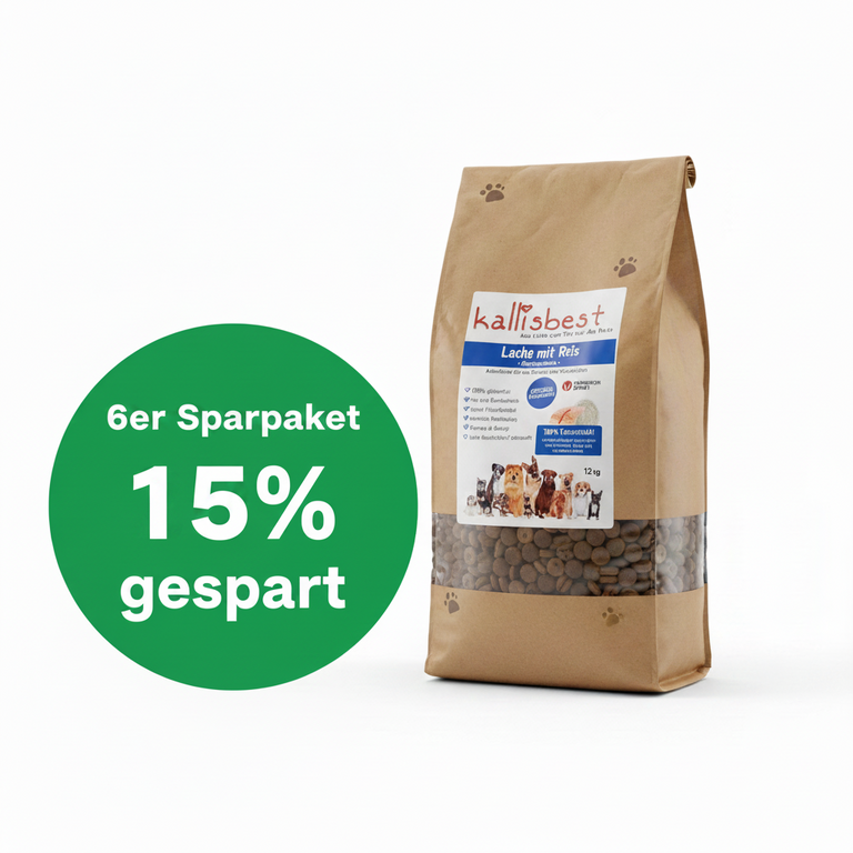 Lachs mit Reis große Kroketten – 6 x 12kg Sparpaket