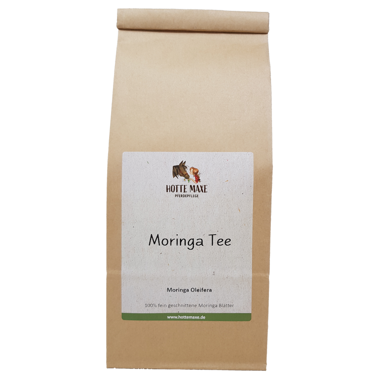 Hotte Maxe Einzelkräuter Moringa Tee