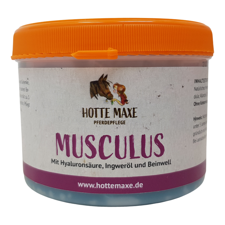 Hotte Maxe MUSCULUS Pferdesalbe
